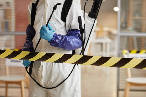 Professional Sewage Cleanup technician working in Olema, CA